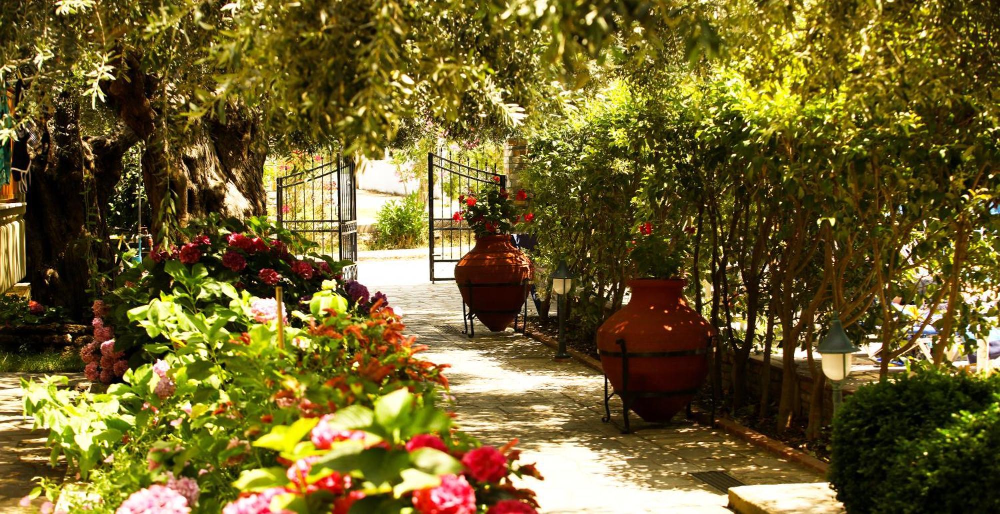 Hotel Thetis Limenas  Dış mekan fotoğraf