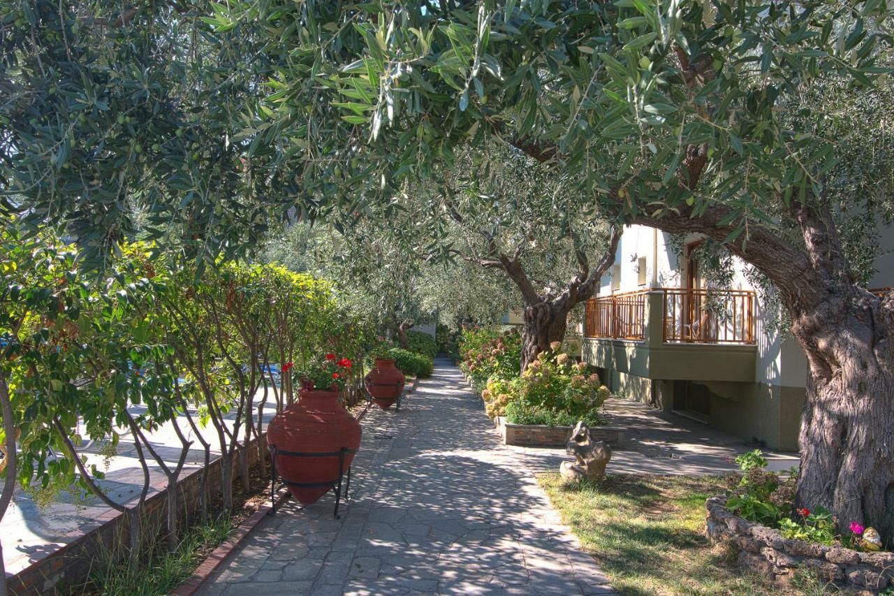 Hotel Thetis Limenas  Dış mekan fotoğraf